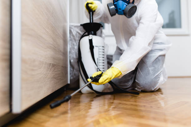 Best Rat Extermination Near Me  in Oberlin, LA
