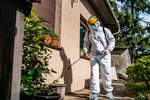 Best Wasp Removal Services  in Oberlin, LA