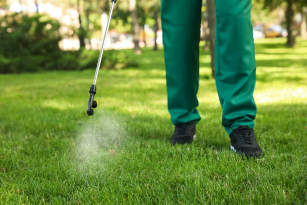 Best Cockroach Control Services  in Oberlin, LA