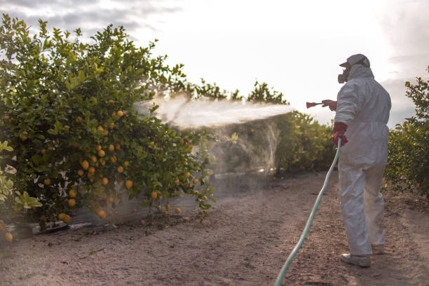 Best Local Pest Control Services  in Oberlin, LA