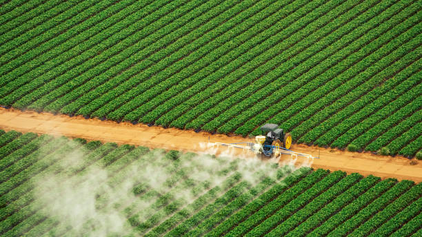 Best Pest Inspection Near Me  in Oberlin, LA