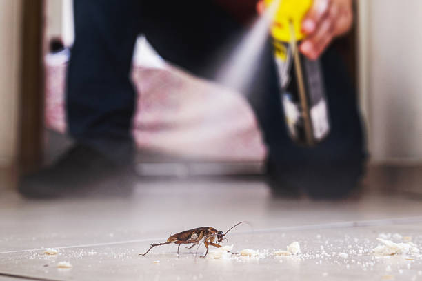 Best Commercial Pest Control Services  in Oberlin, LA