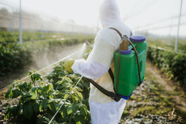 Best Best Pest Control Near Me  in Oberlin, LA